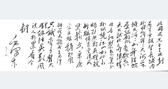 杨冬冬作品9 毛体草书《沁园春 雪》69X226cm